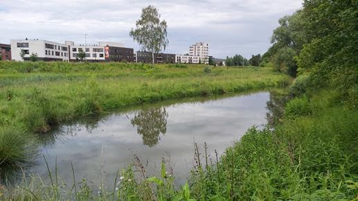 Trage Wegen wandeling in Sint-Stevens-Woluwe